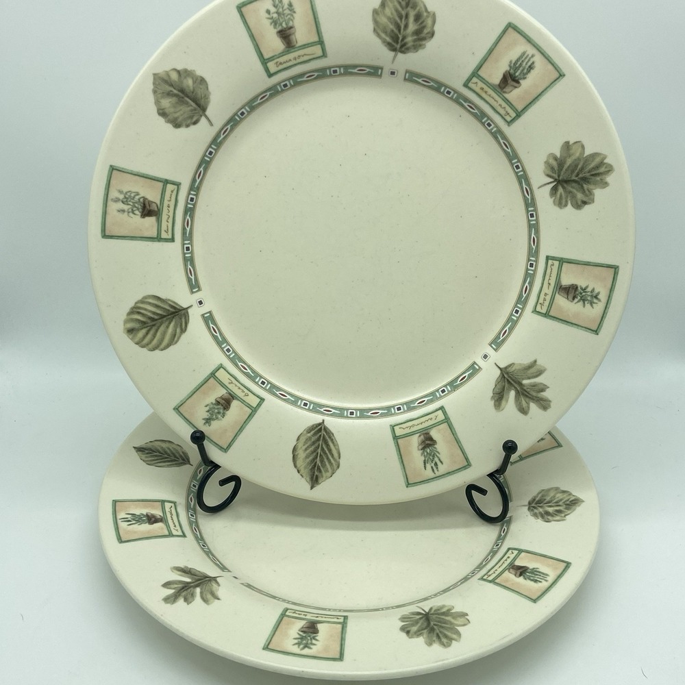 Portfolio Pfaltzgraff Naturewood Dinner Plates 11" Set‎ Of 2 Vintage Stoneware